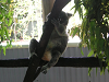 s_A_PICT0041_thumb.png